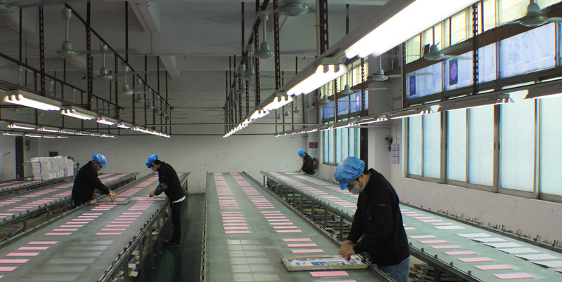 Dongguan Color Wind Plastic Product.LTD linea di produzione in fabbrica